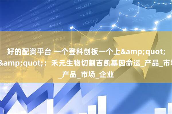 好的配资平台 一个登科创板一个上&quot;老赖榜&quot;：禾元生物切割吉凯基因命运_产品_市场_企业