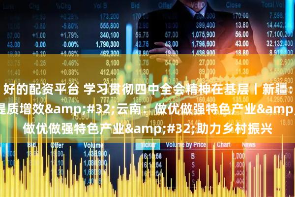 好的配资平台 学习贯彻四中全会精神在基层丨新疆:全面推进林果产业提质增效 云南:做优做强特色产业 助力乡村振兴